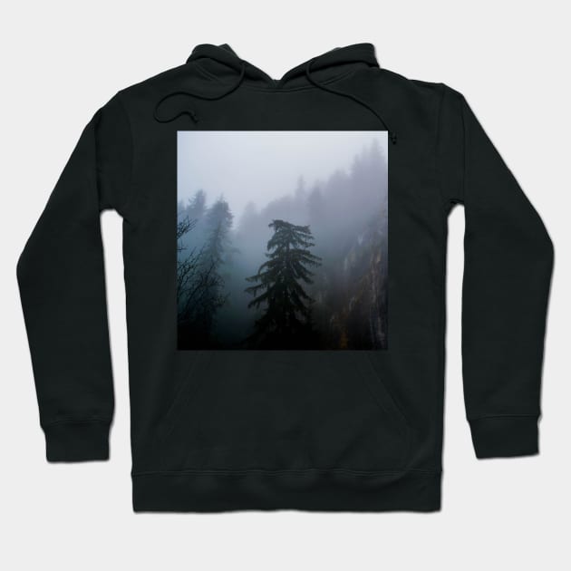 Pine Trees In A Forest Sticker Hoodie by Nature Arts